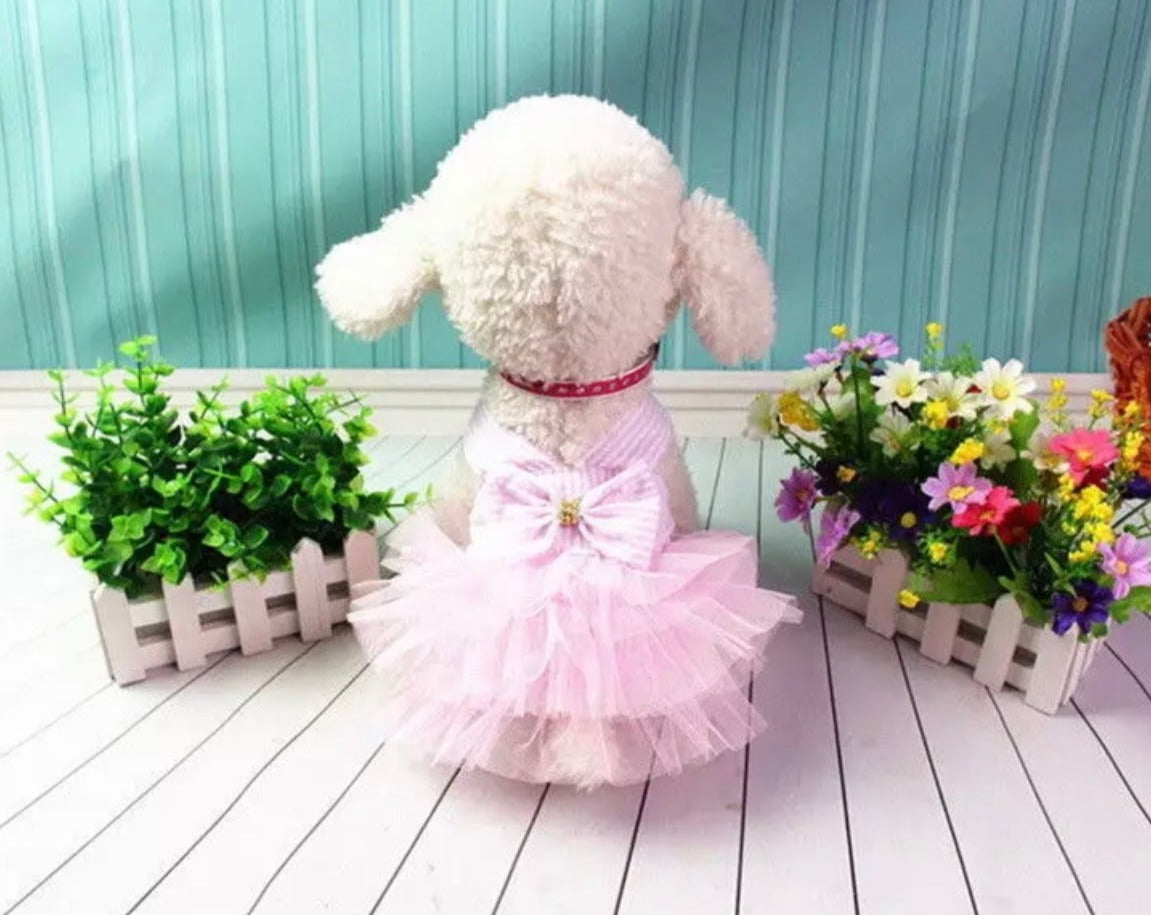 Dog Custom Summer Tutu Dress