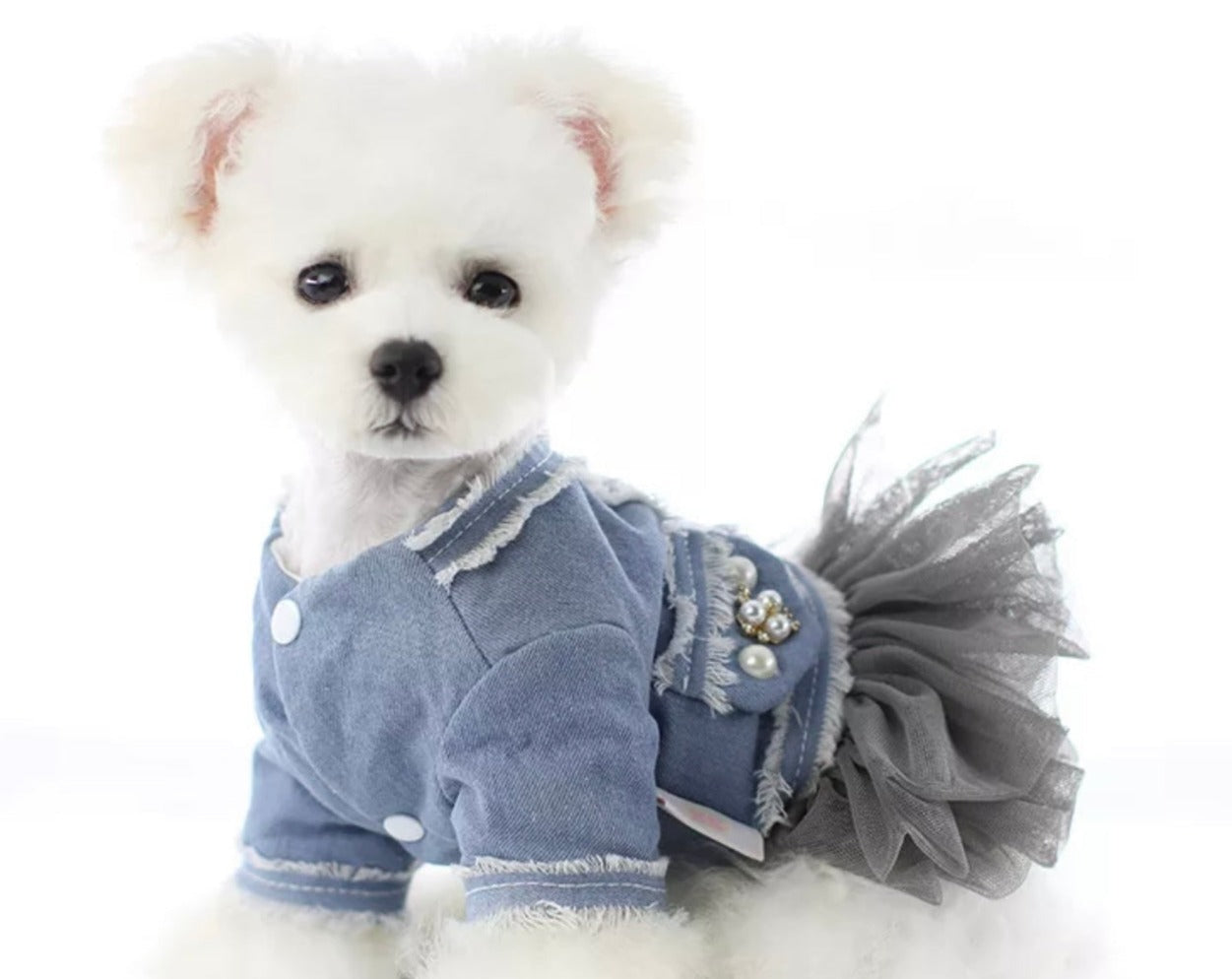 Custom Denim Pearl Jacket For Small Dogs
