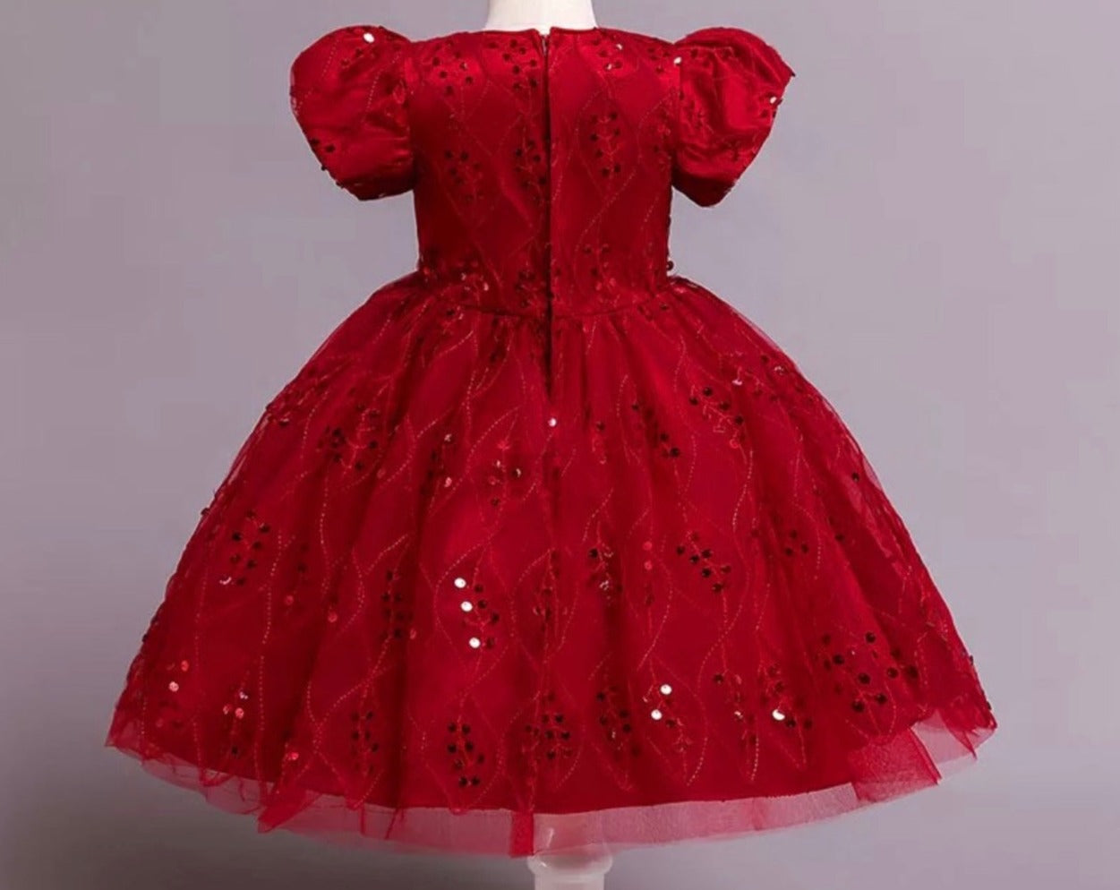 Christmas Girl Embroidery Tutu Dress - Kids clothes