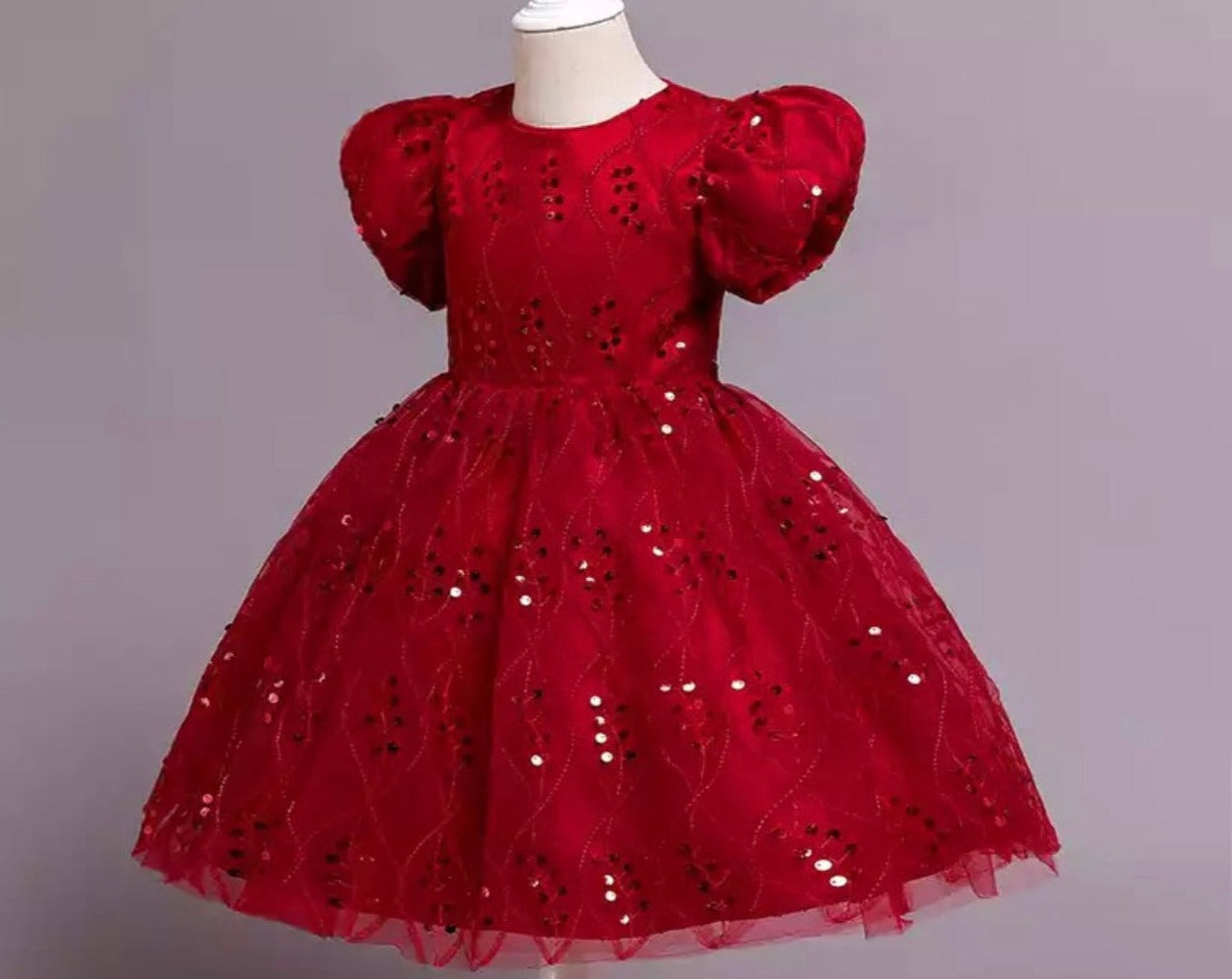 Christmas Girl Embroidery Tutu Dress - Kids clothes