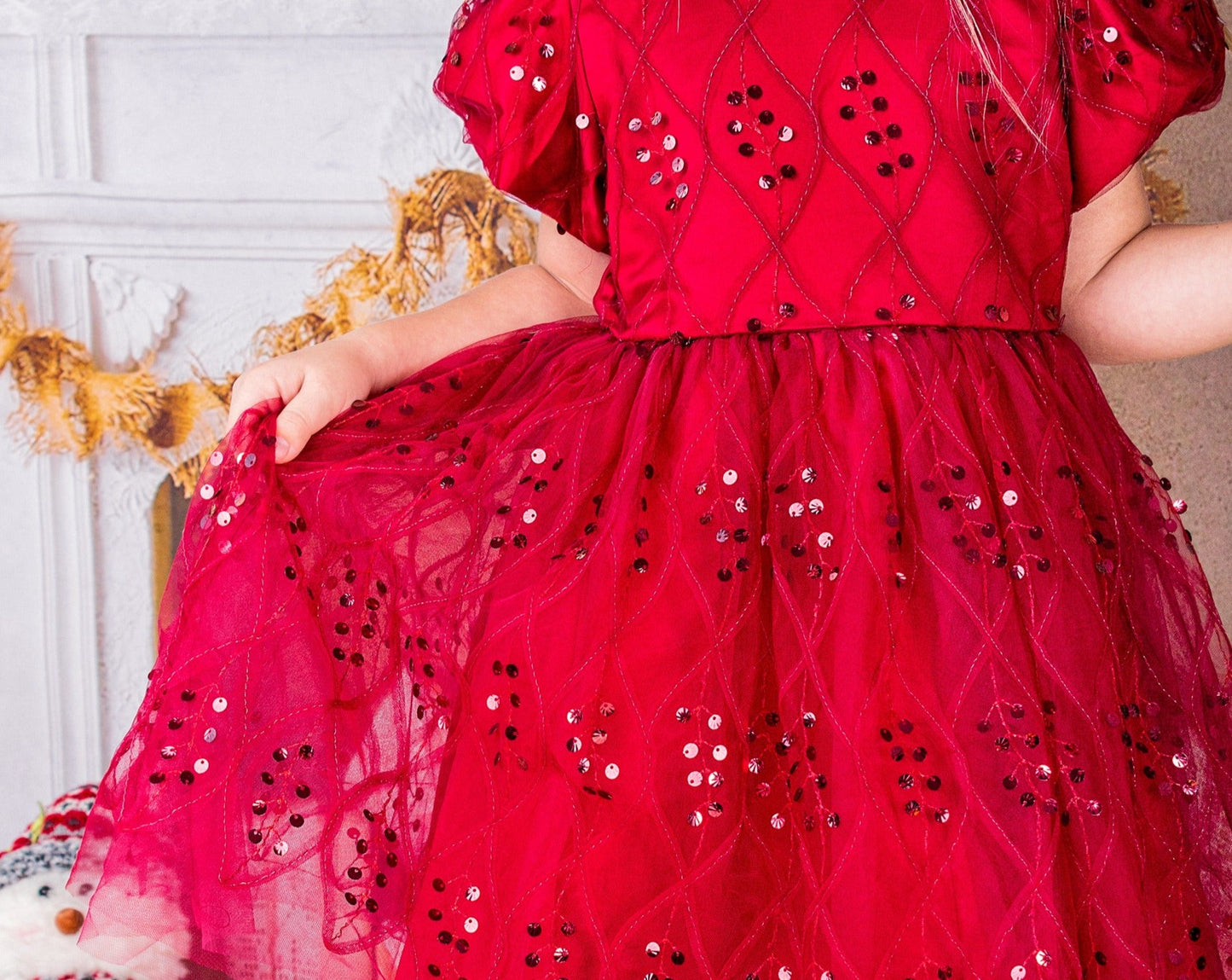 Christmas Girl Embroidery Tutu Dress - Kids clothes