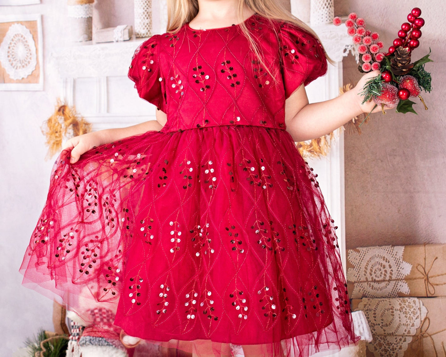 Christmas Girl Embroidery Tutu Dress - Kids clothes