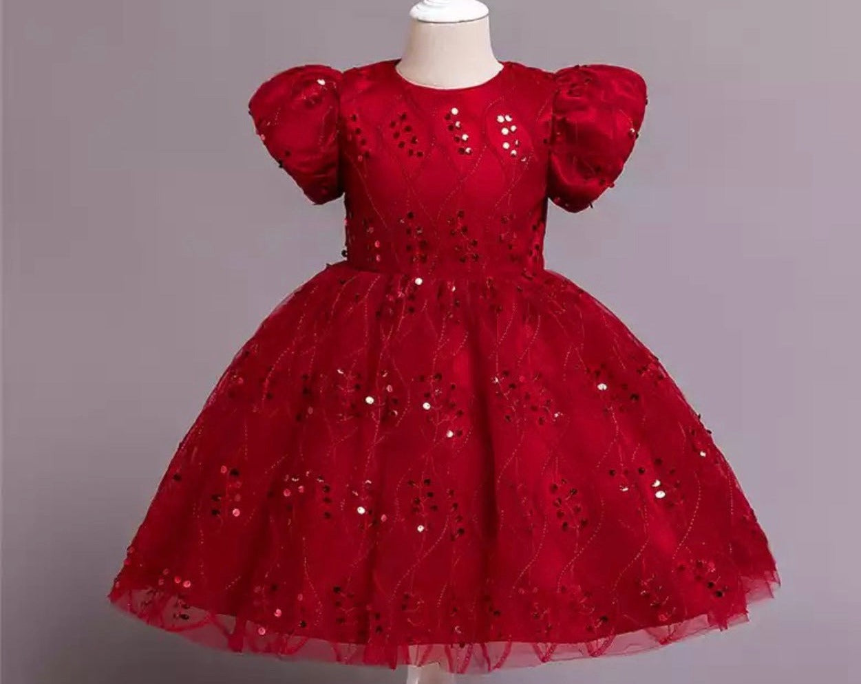 Christmas Girl Embroidery Tutu Dress - Kids clothes