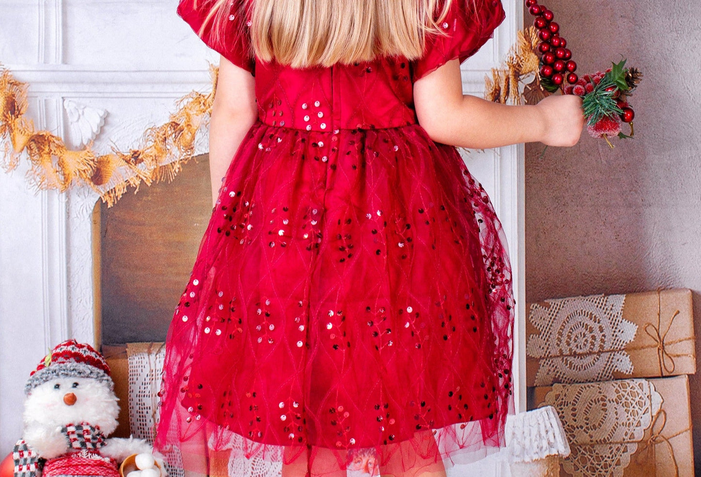 Christmas Girl Embroidery Tutu Dress - Kids clothes