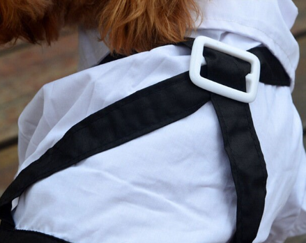 Dog Custom Wedding Tuxedo
