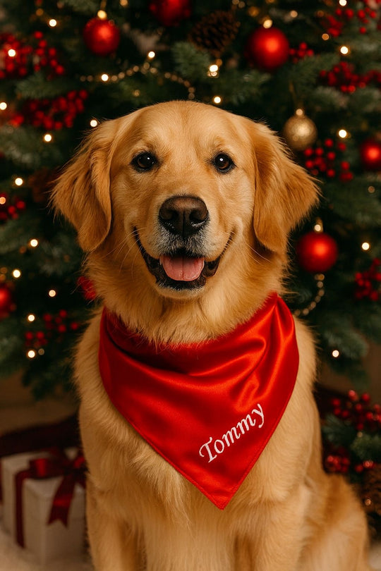 Custom Dog Satin Bandana Christmas RED & GREEN