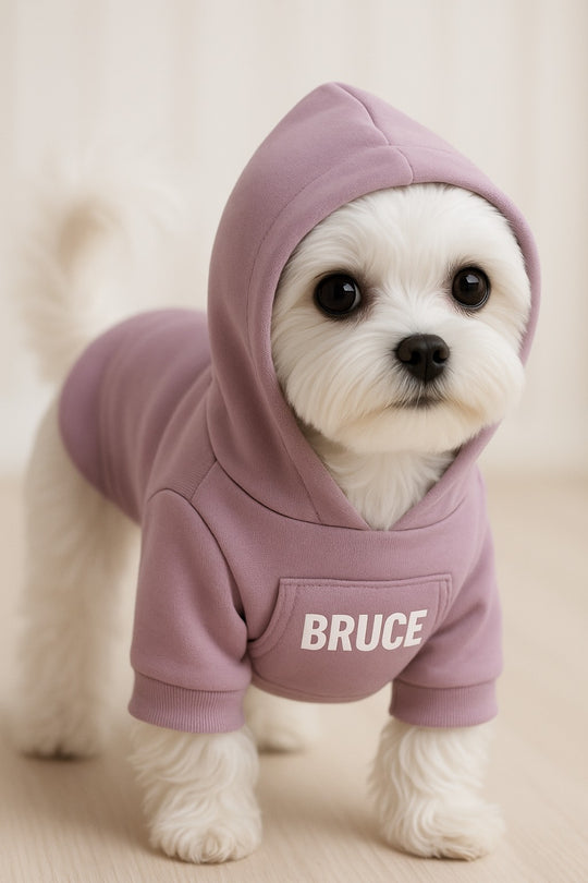 Customized Dog Hoodie