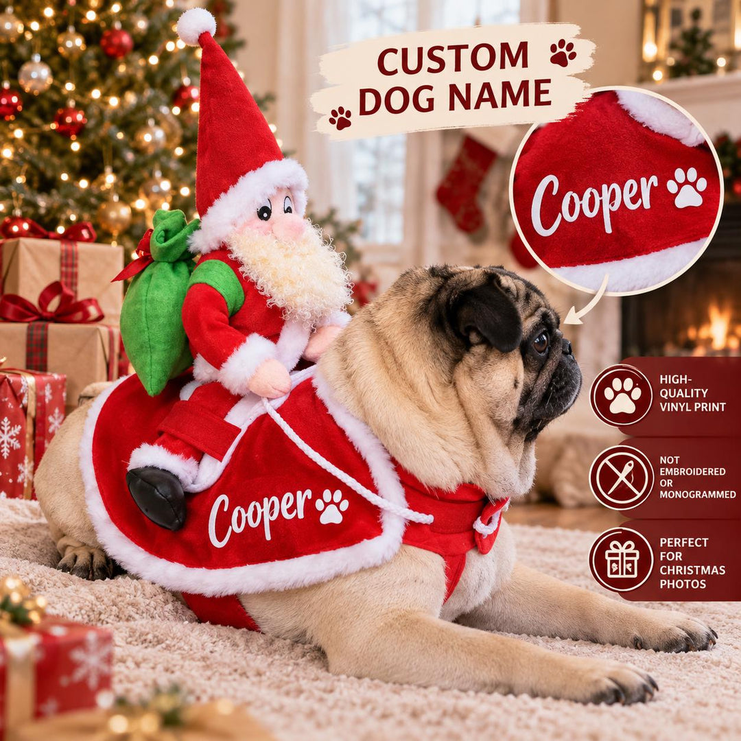 Personalized Dog Christmas Costume