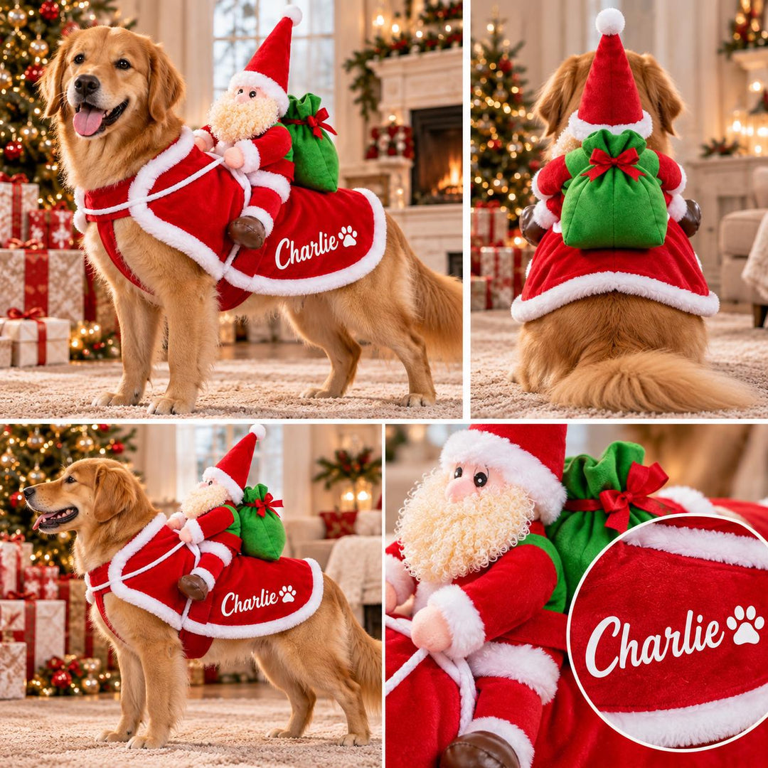 Personalized Dog Christmas Costume