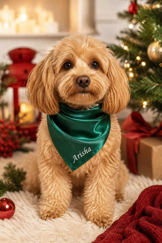 Custom Dog Satin Bandana Christmas RED & GREEN