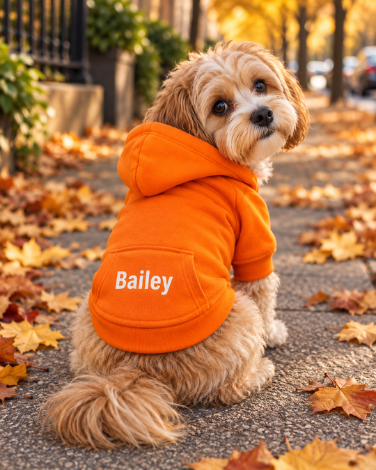 Customized Dog Hoodie