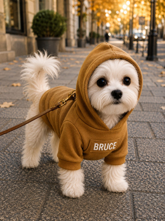 Customized Dog Hoodie