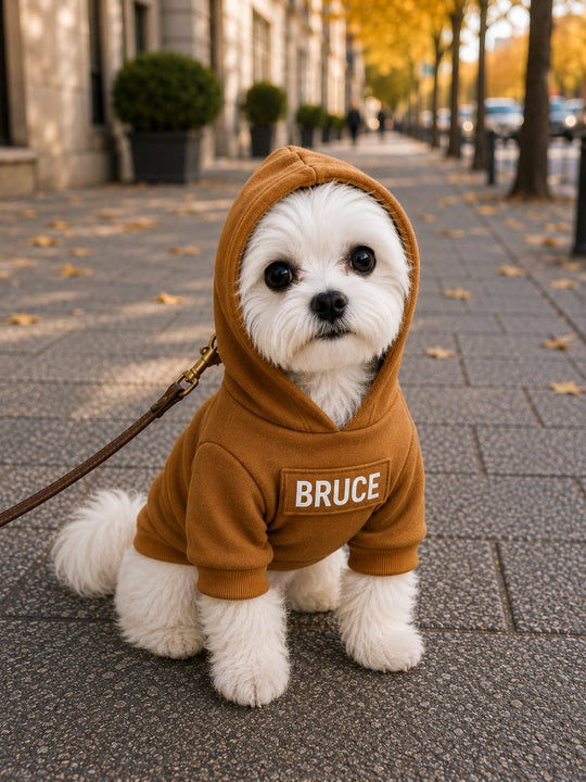 Customized Dog Hoodie