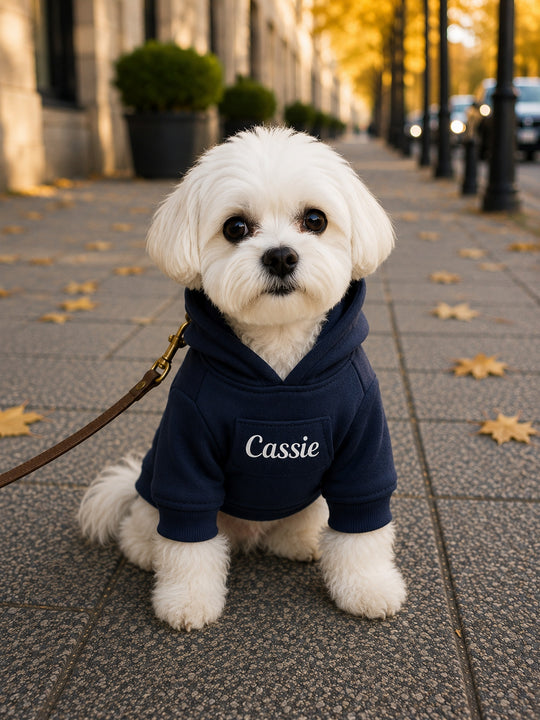 Customized Dog Hoodie