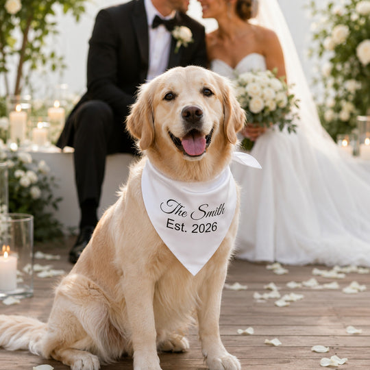 Wedding Custom White Satin Bandana for Dogs