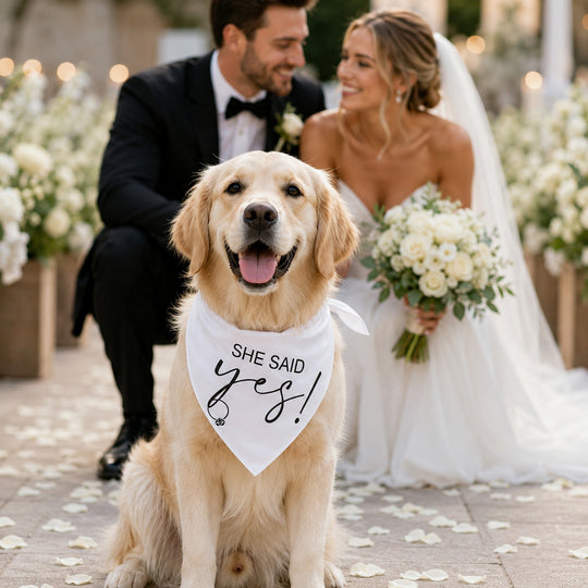 Wedding Custom White Satin Bandana for Dogs