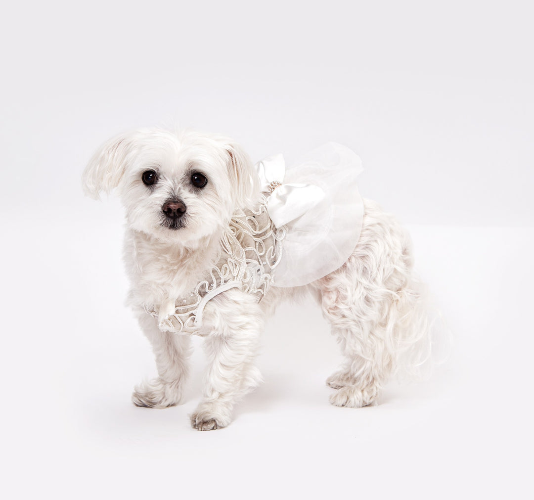 Dog Custom White Wedding Dress with Lace