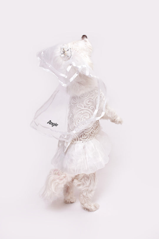 Dog Custom White Wedding Dress with Lace