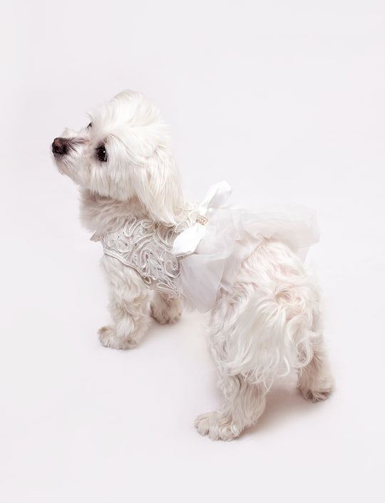 Dog Custom White Wedding Dress with Lace