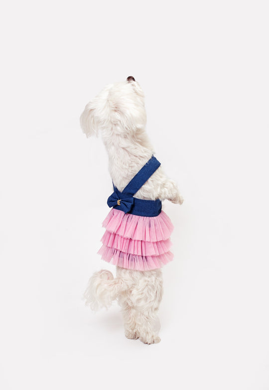 Dog Custom Summer Tutu Dress