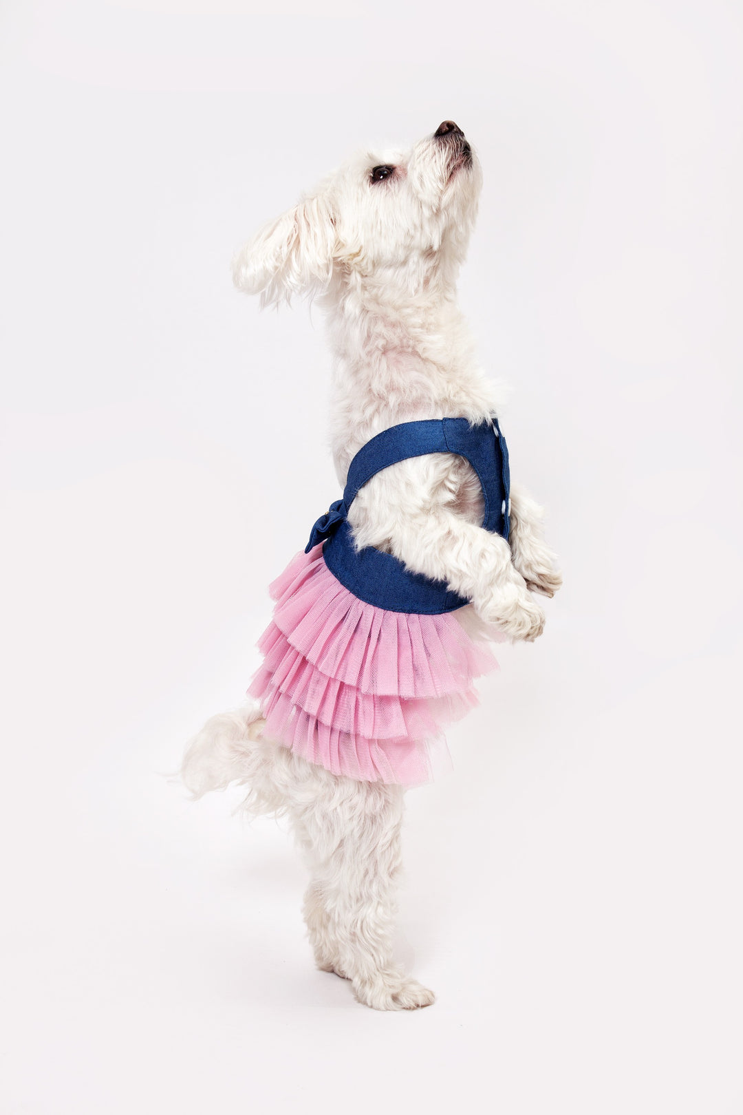 Dog Custom Summer Tutu Dress