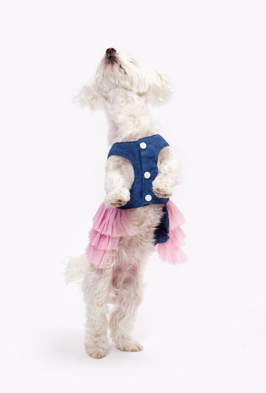 Dog Custom Summer Tutu Dress