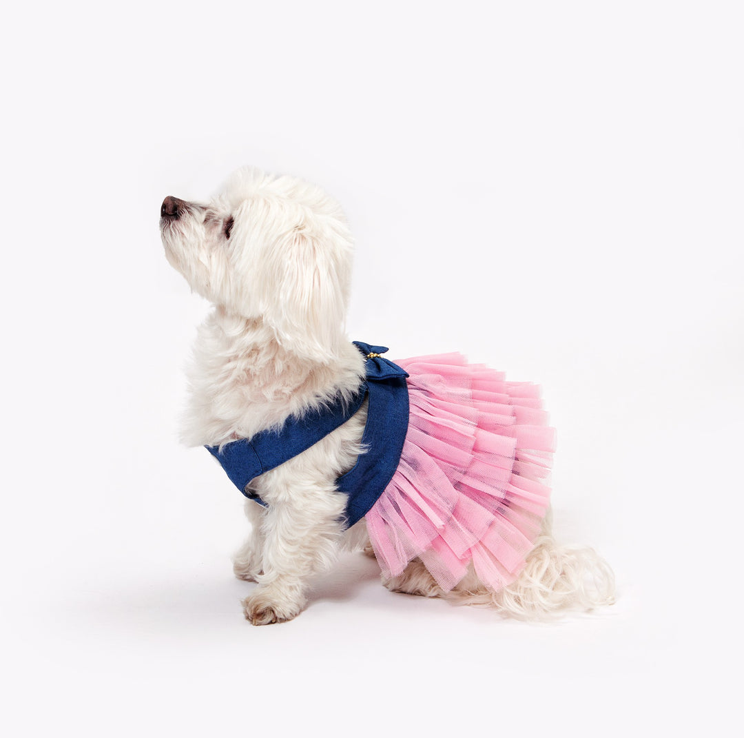 Dog Custom Summer Tutu Dress