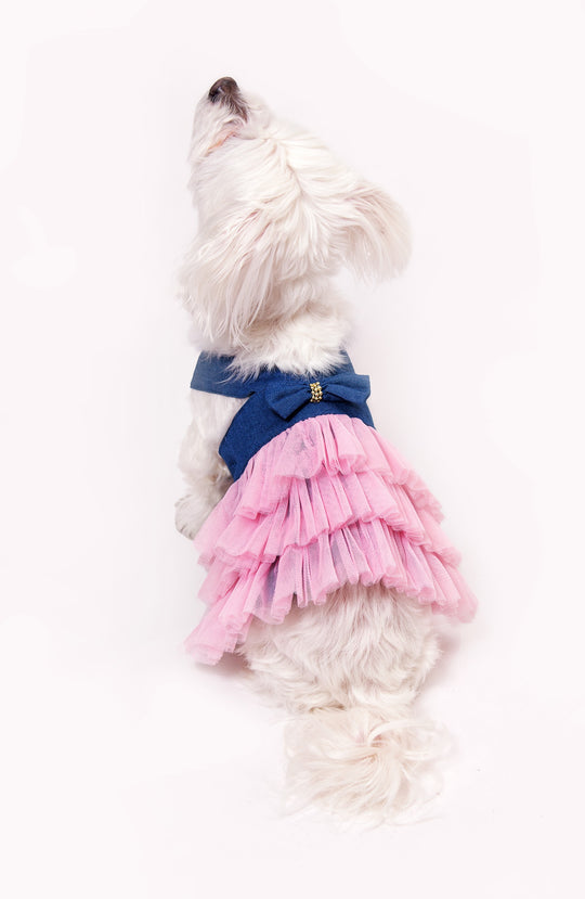 Dog Custom Summer Tutu Dress