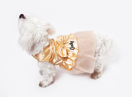 Customized Wedding Satin Dress for Dogs