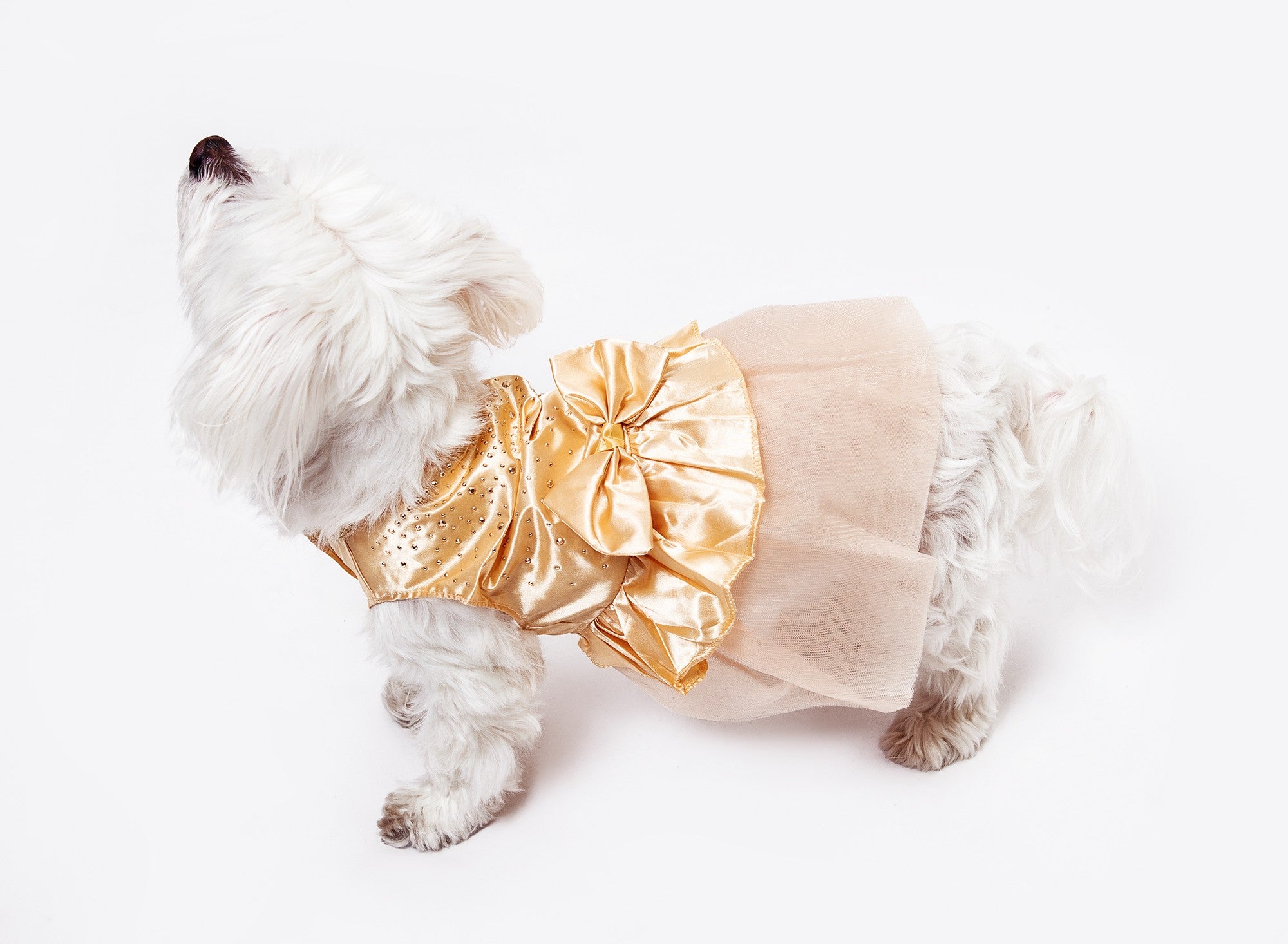 Wedding dog satin dress Dog Flower girl Dress Blush wedding Pink Champagne wedding dog dress dog clothes XS XL dog satin dress Sunny Boutique Miami