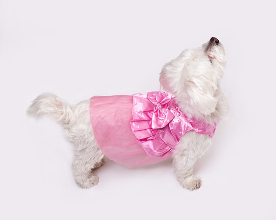 Customized Wedding Satin Dress for Dogs