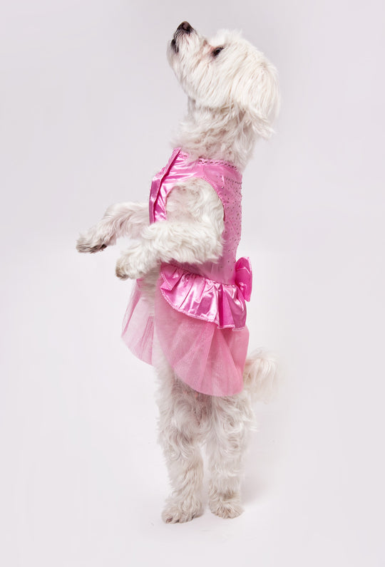 Customized Wedding Satin Dress for Dogs