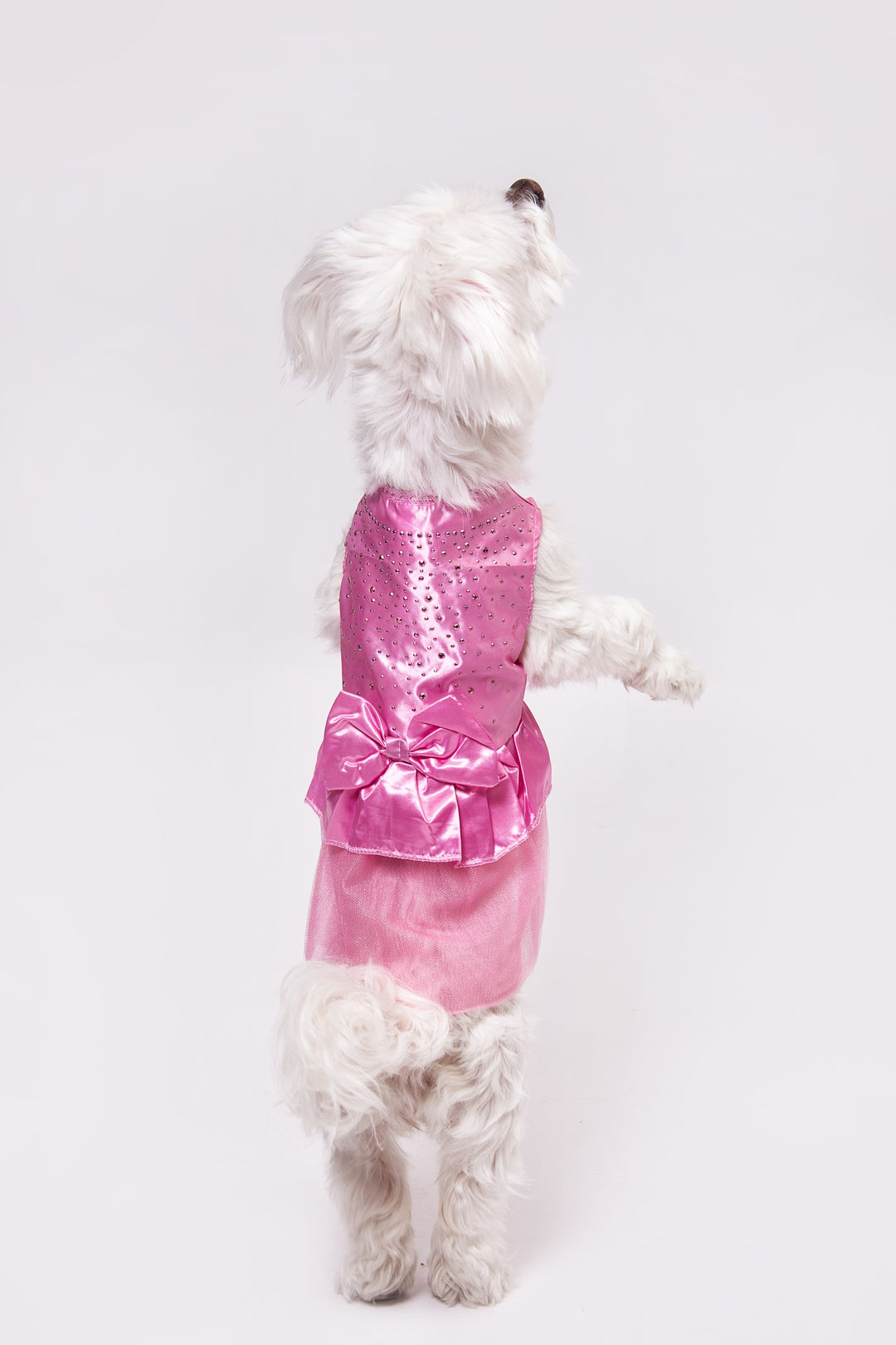 Customized Wedding Satin Dress for Dogs