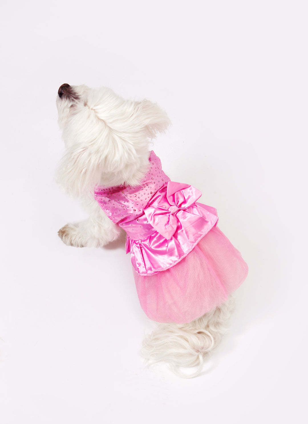 Customized Wedding Satin Dress for Dogs