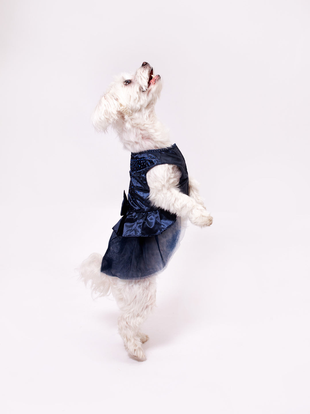 Customized Wedding Satin Dress for Dogs