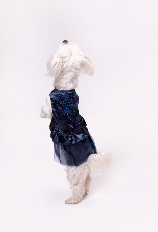 Customized Wedding Satin Dress for Dogs