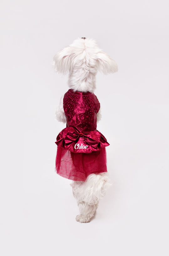 Customized Wedding Satin Dress for Dogs