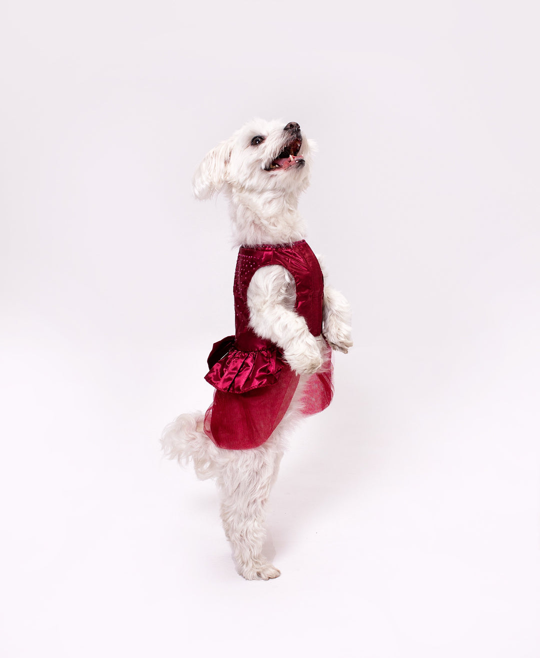 Customized Wedding Satin Dress for Dogs