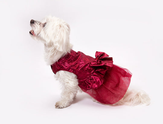 Customized Wedding Satin Dress for Dogs