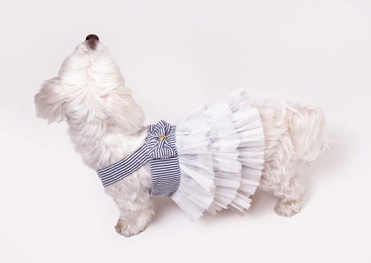 Dog Custom Summer Tutu Dress