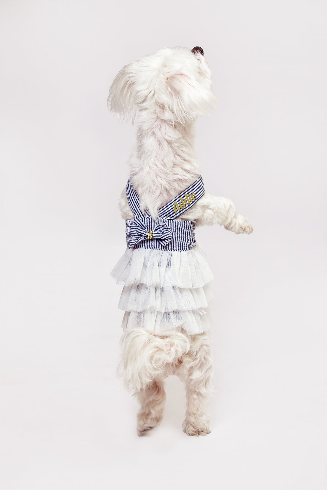 Dog Custom Summer Tutu Dress