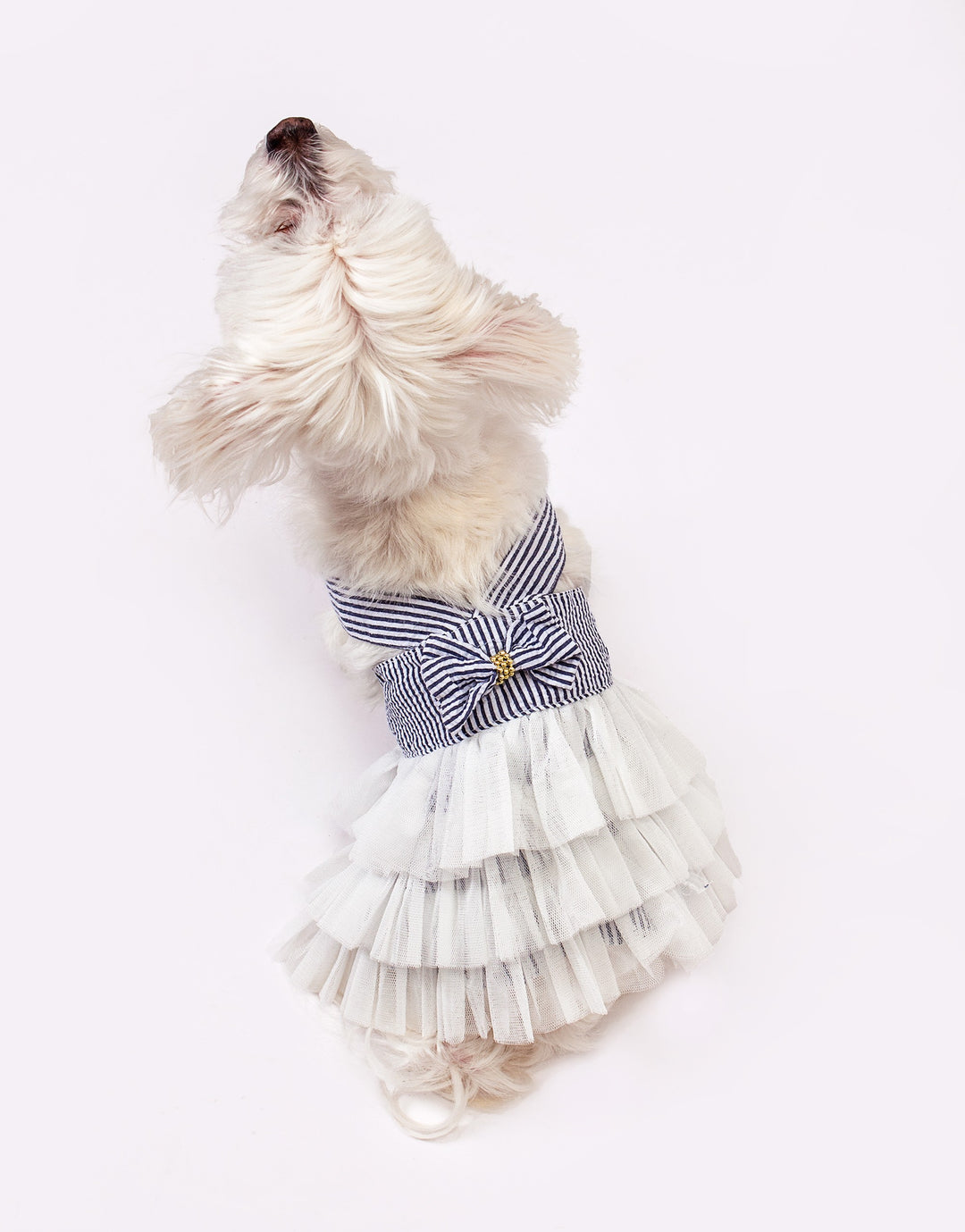 Dog Custom Summer Tutu Dress