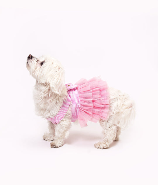 Dog Custom Summer Tutu Dress