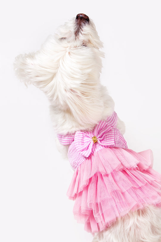 Dog Custom Summer Tutu Dress