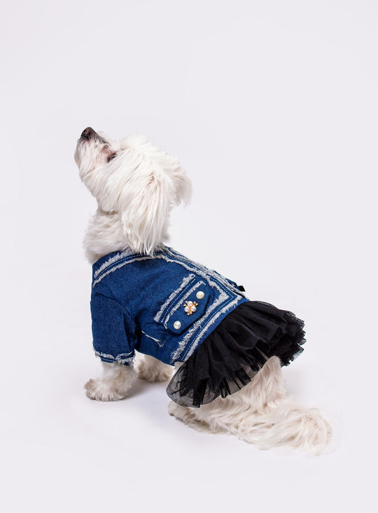 Custom Denim Pearl Jacket For Small Dogs