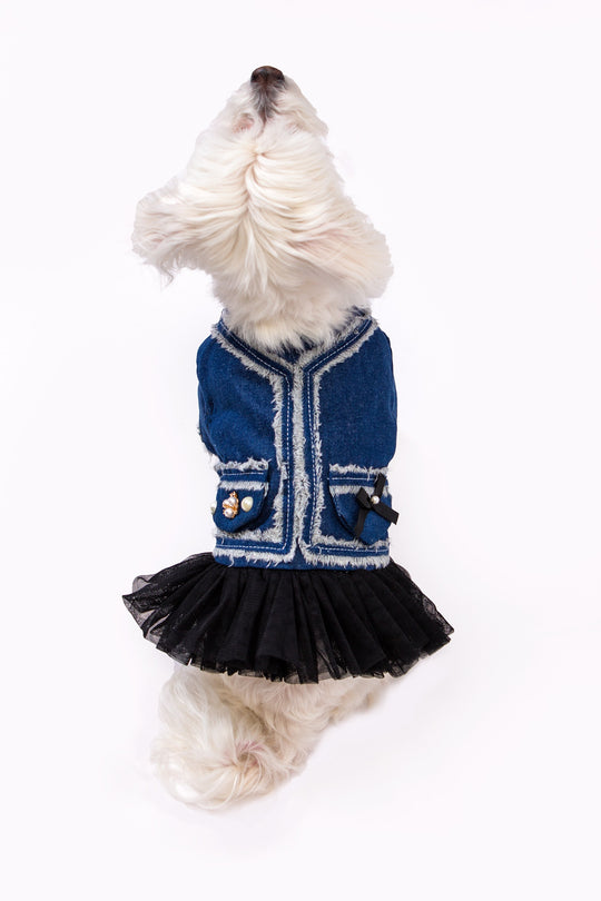 Custom Denim Pearl Jacket For Small Dogs