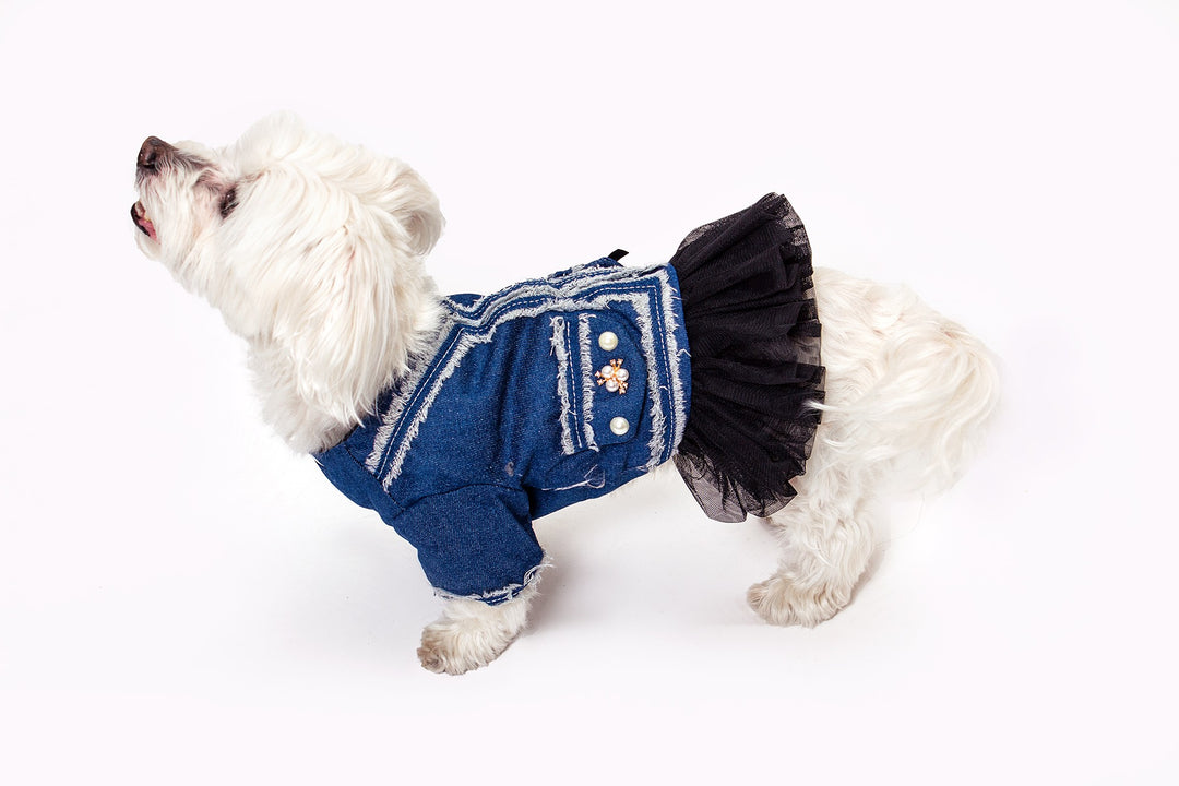 Custom Denim Pearl Jacket For Small Dogs