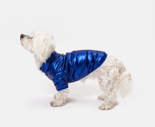 Custom Waterproof Dog Vest