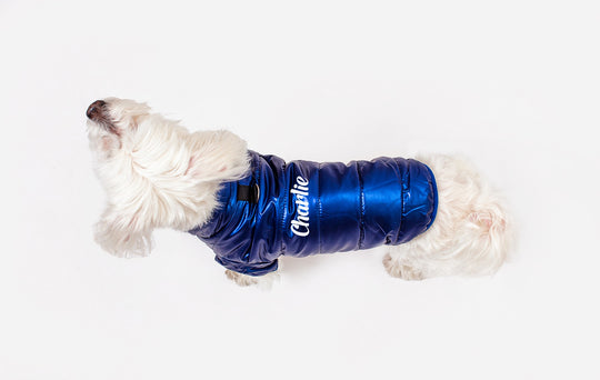 Custom Waterproof Dog Vest