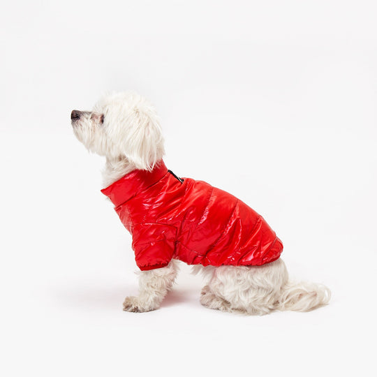 Custom Waterproof Dog Vest